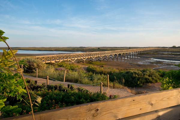 Quinta do Lago area Hiking